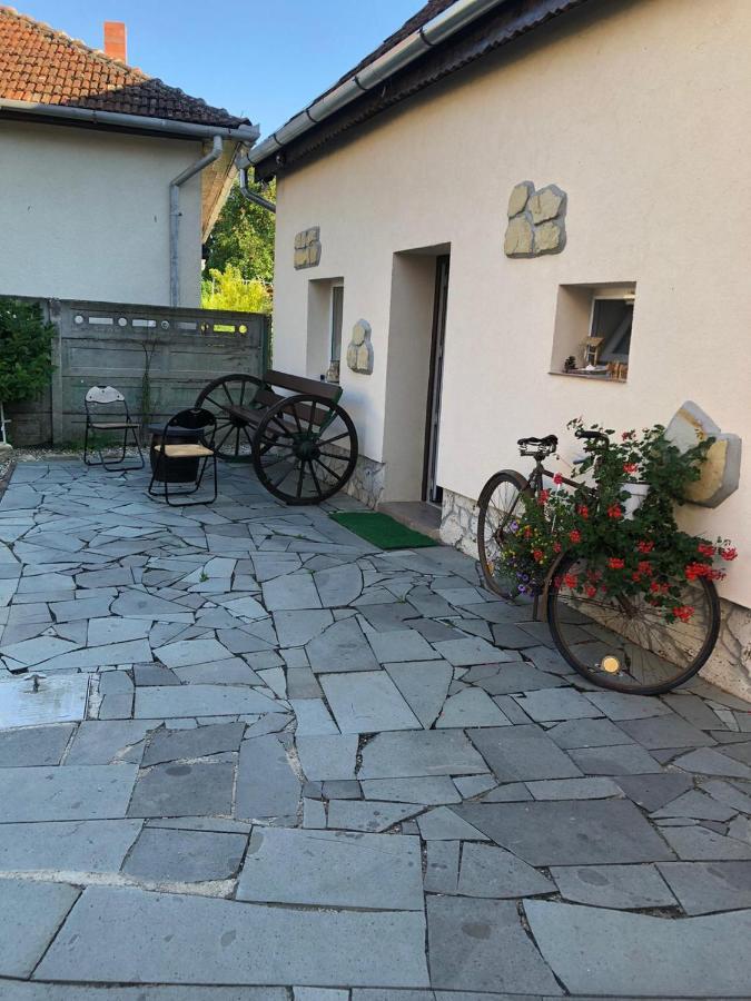 Casa Cezara Apartment Silvasu de Jos Luaran gambar