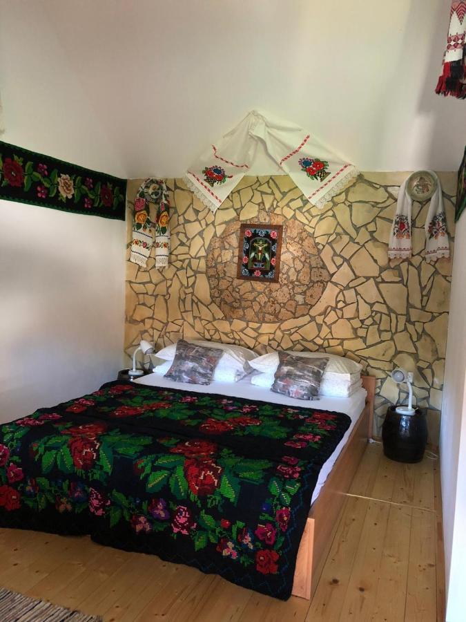 Casa Cezara Apartment Silvasu de Jos Luaran gambar