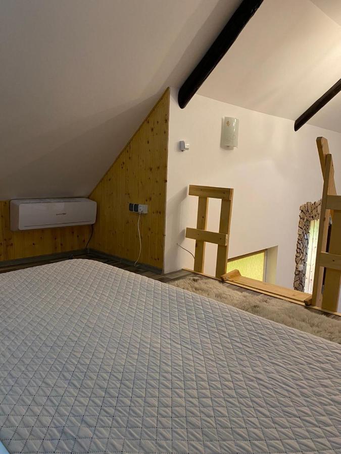Casa Cezara Apartment Silvasu de Jos Luaran gambar