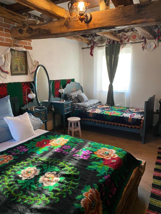 Casa Cezara Apartment Silvasu de Jos Luaran gambar