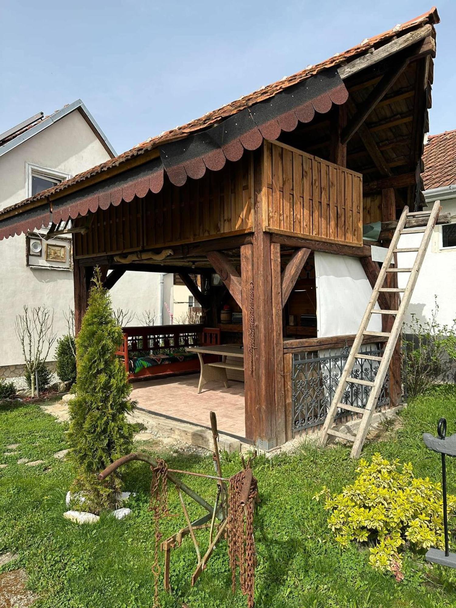 Casa Cezara Apartment Silvasu de Jos Luaran gambar
