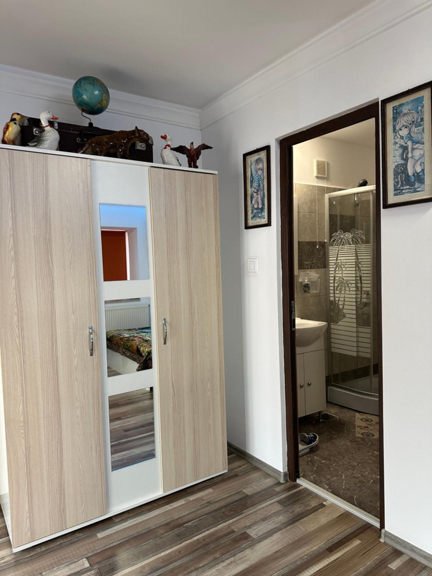 Casa Cezara Apartment Silvasu de Jos Luaran gambar