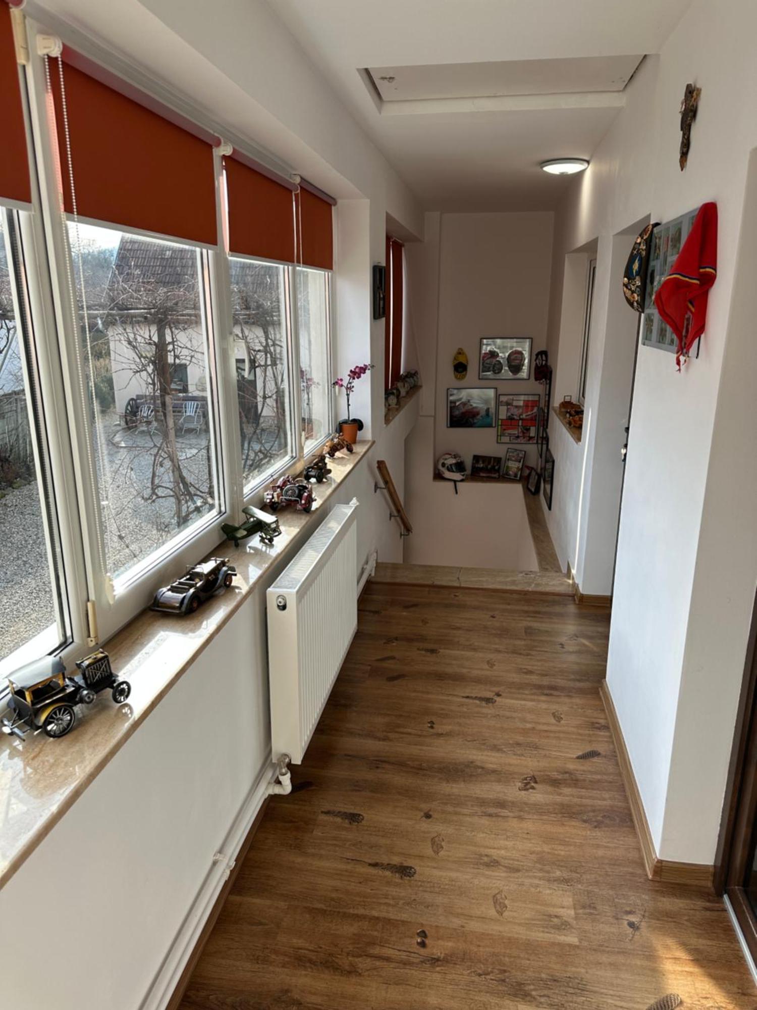 Casa Cezara Apartment Silvasu de Jos Luaran gambar