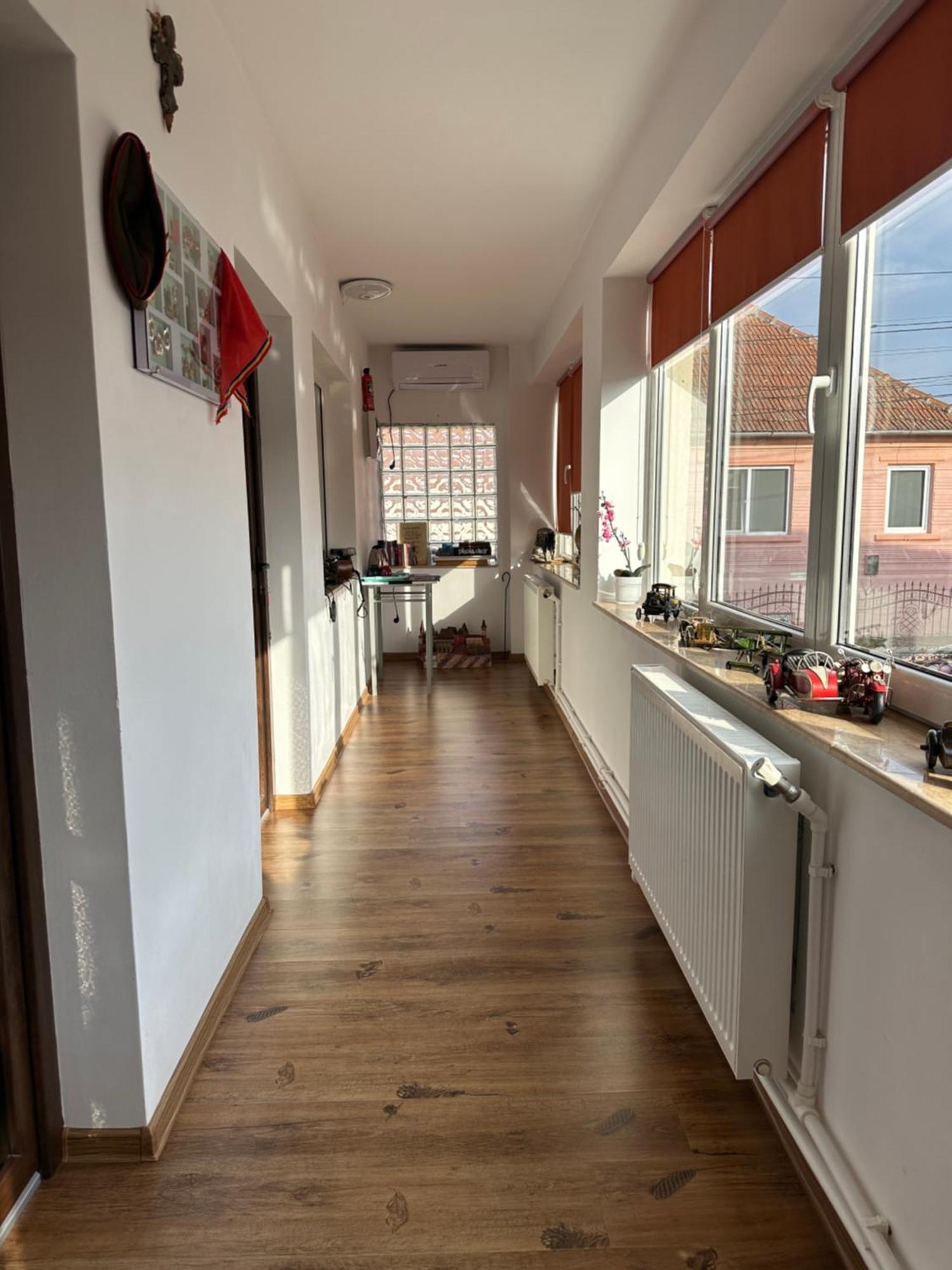 Casa Cezara Apartment Silvasu de Jos Luaran gambar
