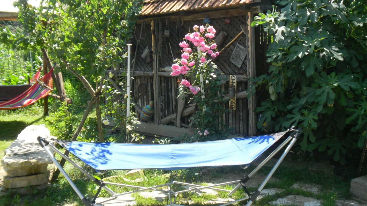 Casa Cezara Apartment Silvasu de Jos Luaran gambar